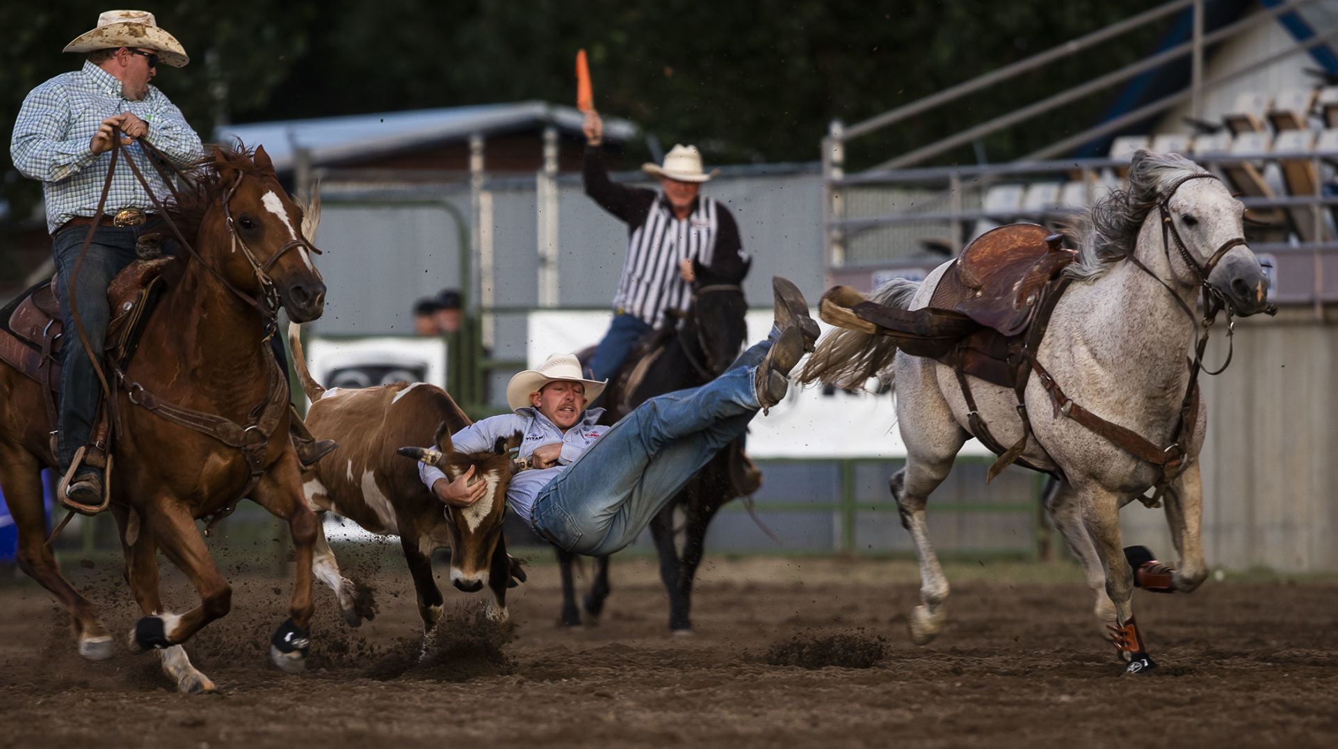 Rodeo